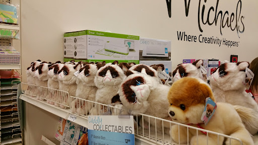 Craft Store «Michaels», reviews and photos, 3310 Alpine Ave NW #5, Walker, MI 49544, USA