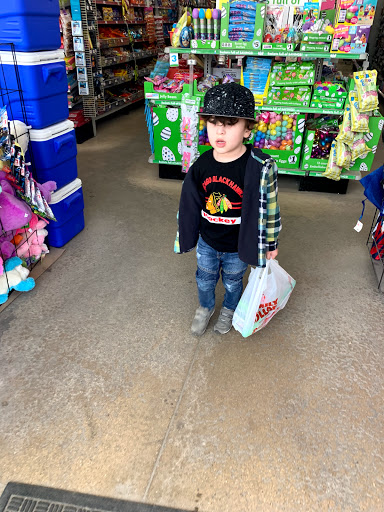 Dollar Store «FAMILY DOLLAR», reviews and photos, 700 E Front St, Buchanan, MI 49107, USA