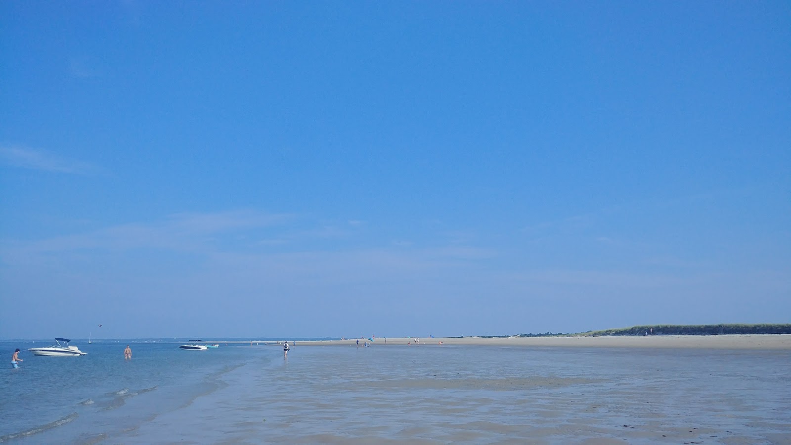 Crane beach photo #9