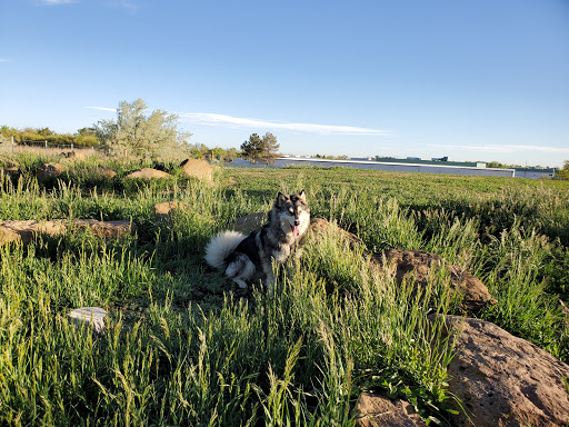 Park «Bicentennial Park», reviews and photos, 13655 E Alameda Ave, Aurora, CO 80012, USA