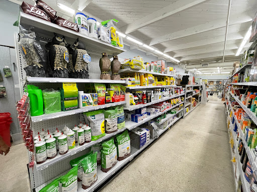 Hardware Store «Vision Ace Hardware», reviews and photos, 1750 Main St, Dunedin, FL 34698, USA