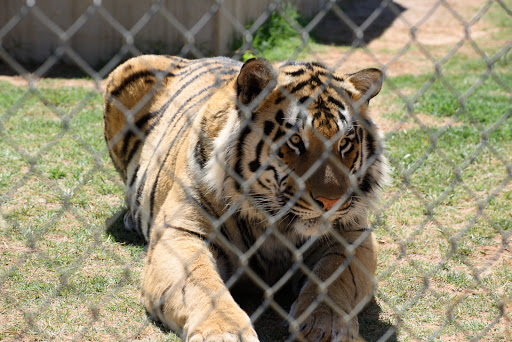 Research Institute «Center For Animal Research and Education (CARE)», reviews and photos, 245 Co Rd 3422, Bridgeport, TX 76426, USA