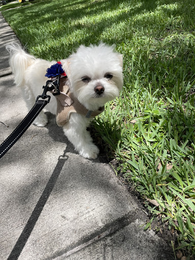 Store «HealthePets Market», reviews and photos, 155 Toney Penna Dr, Jupiter, FL 33458, USA