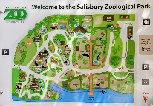 Zoo «Salisbury Zoological Park», reviews and photos, 755 S Park Dr, Salisbury, MD 21804, USA