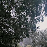 Photo n°1 de l'avis de Susanna.a fait le 16/11/2021 à 08:18 sur le  Tenuta Quattro Fratelli - Ristorante Carpineto Romano à Carpineto Romano