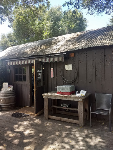 Winery «Story Winery», reviews and photos, 10525 Bell Rd, Plymouth, CA 95669, USA