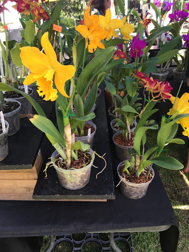 Botanical Garden «Heathcote Botanical Gardens», reviews and photos, 210 Savannah Rd, Fort Pierce, FL 34982, USA