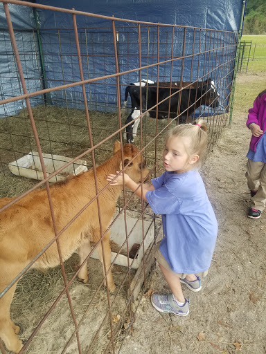 Tourist Attraction «Cajun Country Corn», reviews and photos, 40833 LA-16, Amite City, LA 70422, USA