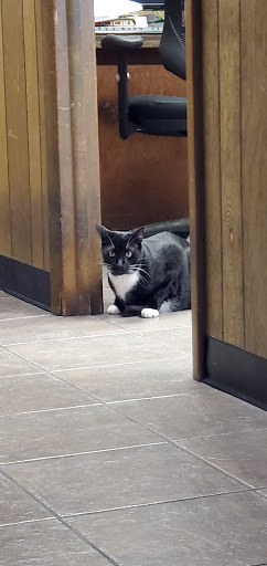 Car Repair and Maintenance «Auto Express Services Center», reviews and photos, 121 Key Dr, Brunswick, GA 31520, USA