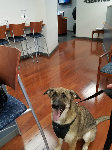 Subaru Dealer «Matthews Subaru», reviews and photos, 3013 Old Vestal Rd a, Vestal, NY 13850, USA