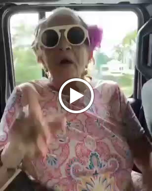 Pet Groomer «Uptown Pet Salon & Daycare», reviews and photos, 4581 13th St, St Cloud, FL 34769, USA