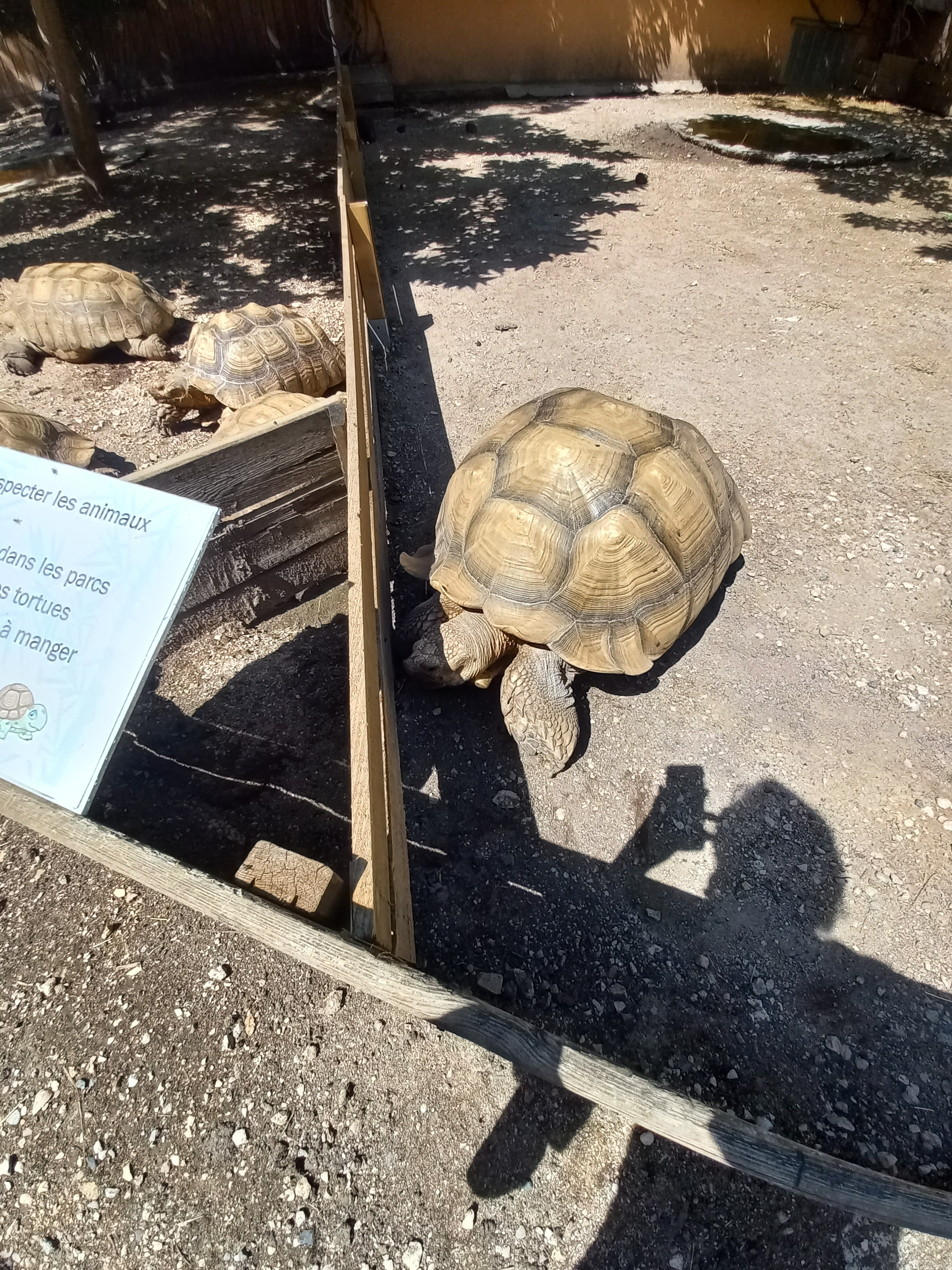 Photo n° 7 de l'avis de MARTINE.o fait le 09/06/2023 à 17:12
