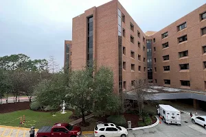 Our Lady of the Lake Regional Medical Center image