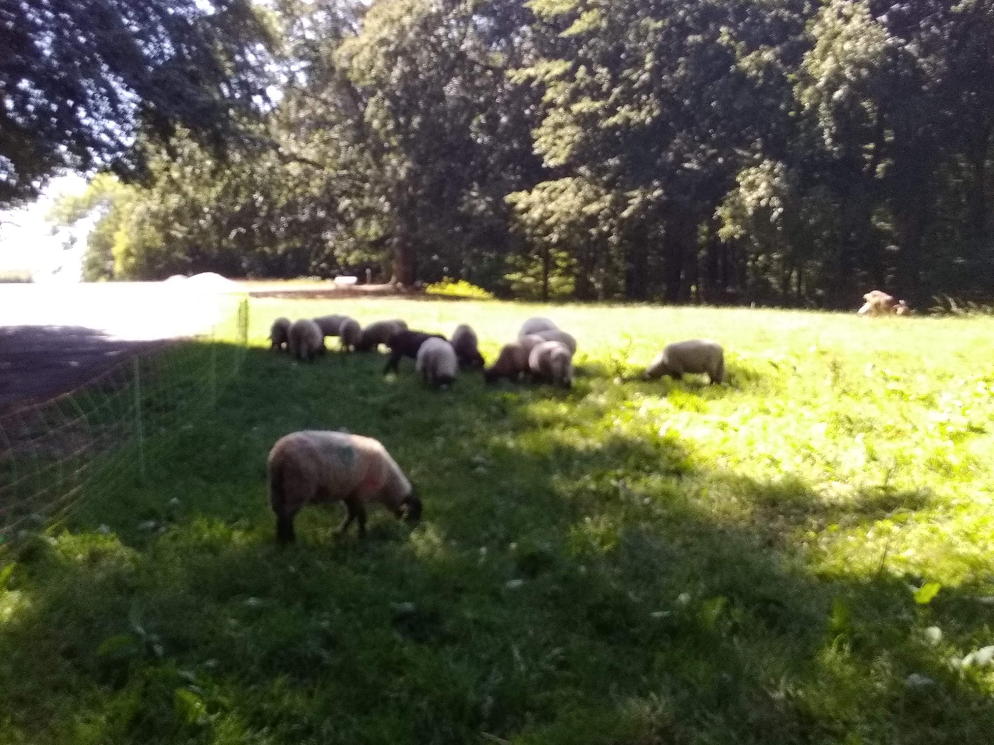 Photo n° 2 de l'avis de guerino.a fait le 28/09/2020 à 10:17