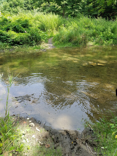 Nature Preserve «Sweedler and Thayer Preserves», reviews and photos, 10 Townline Rd, Ithaca, NY 14850, USA