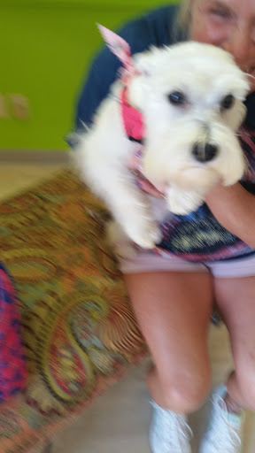 Pet Store «Happy, Clean and Smart», reviews and photos, 5700 W Kilgore Ave, Muncie, IN 47304, USA