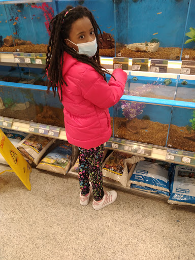 Pet Supply Store «PetSmart», reviews and photos, 13927 New Halls Ferry Road, Florissant, MO 63033, USA