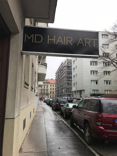MD Hair Art