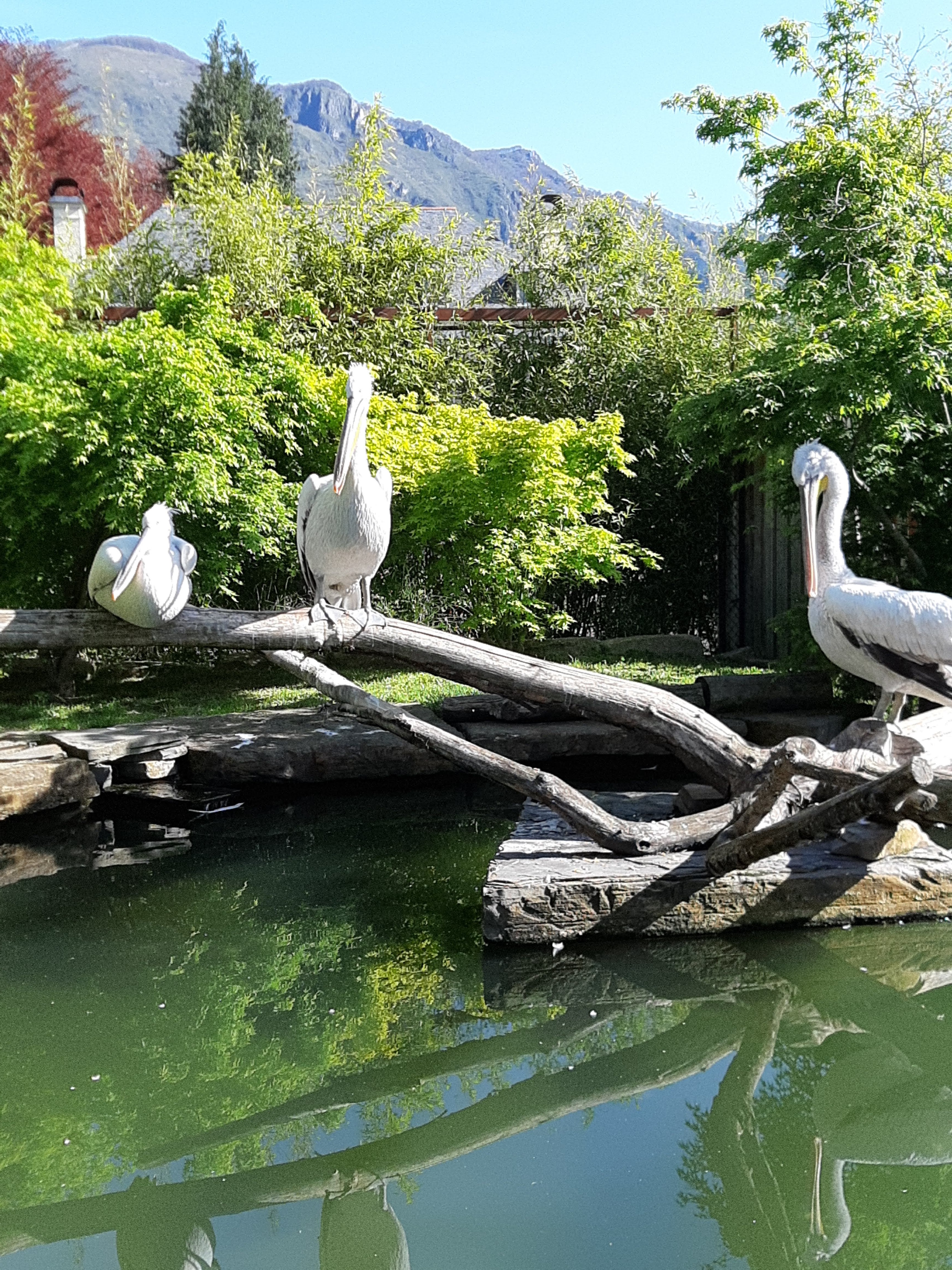 Photo n° 7 de l'avis de Frederic.e fait le 26/04/2022 à 12:50