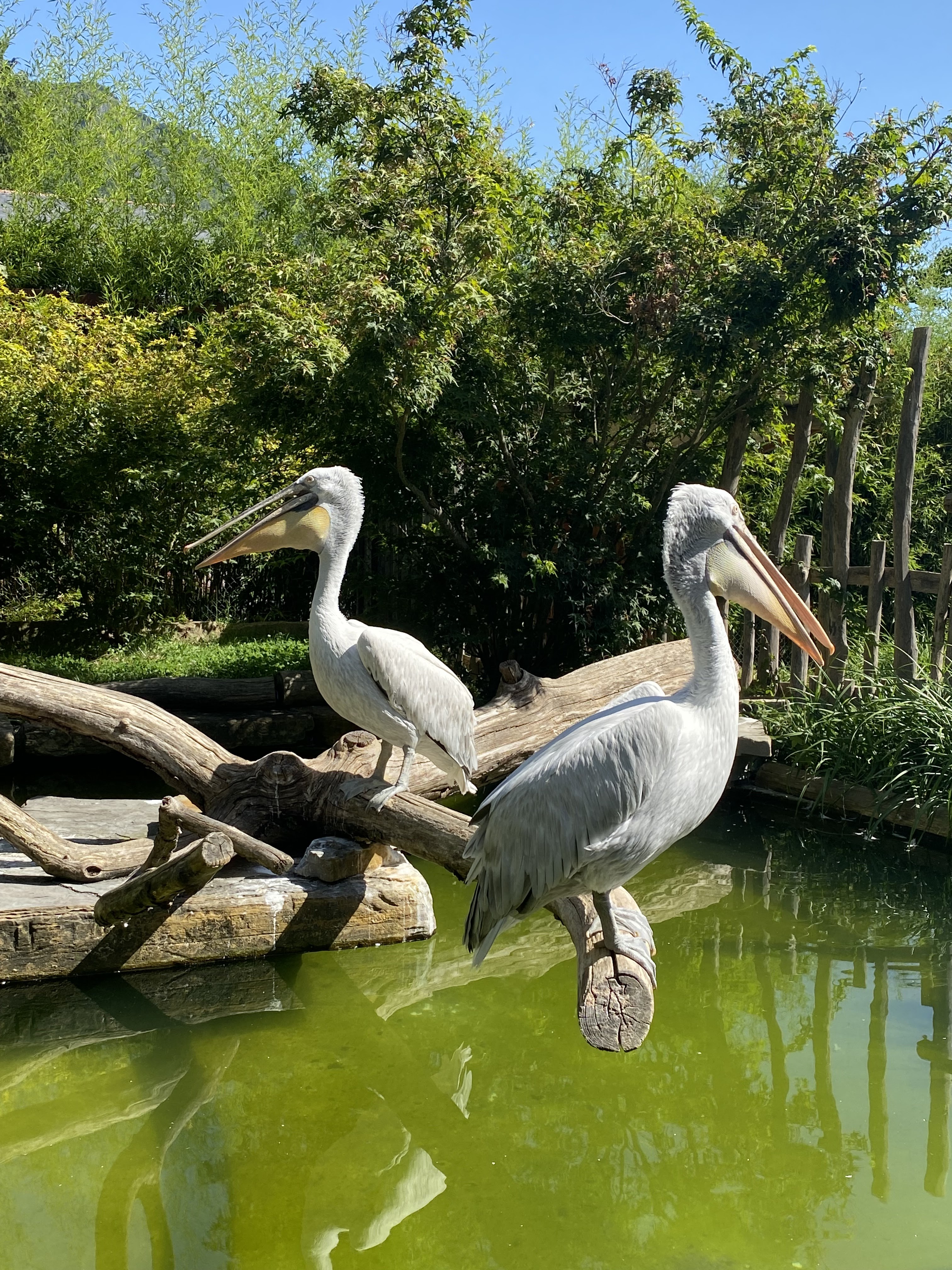 Photo n° 9 de l'avis de Nicolas.h fait le 09/08/2023 à 21:02