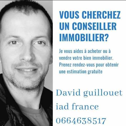 DAVID GUILLOUET AGENT IMMOBILIER I.A.D FRANCE à Bordes