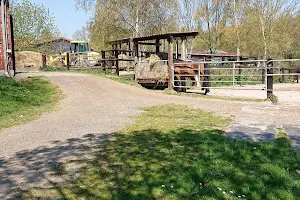 Pferdehof-Steeneck.de image