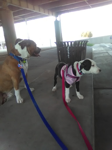 Park «Louisville Waterfront Park (Great Lawn, Harbor Lawn, Festival Plaza)», reviews and photos, 231 Witherspoon St, Louisville, KY 40202, USA