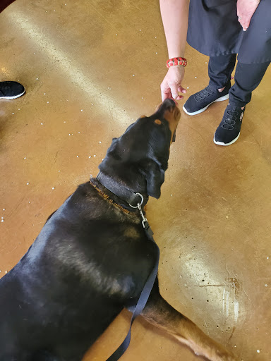 Pet Supply Store «Woodlands Pet Food & Treats», reviews and photos, 902 3rd St, San Rafael, CA 94901, USA