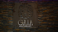 Photos du propriétaire du Restaurant le Gaia Le Mans - n°8