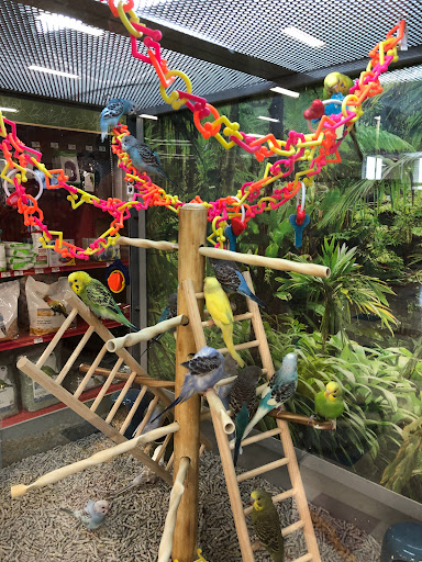 Pet Supply Store «Petco Animal Supplies», reviews and photos, 4820 South Baldwin Road #3B, Orion Township, MI 48359, USA