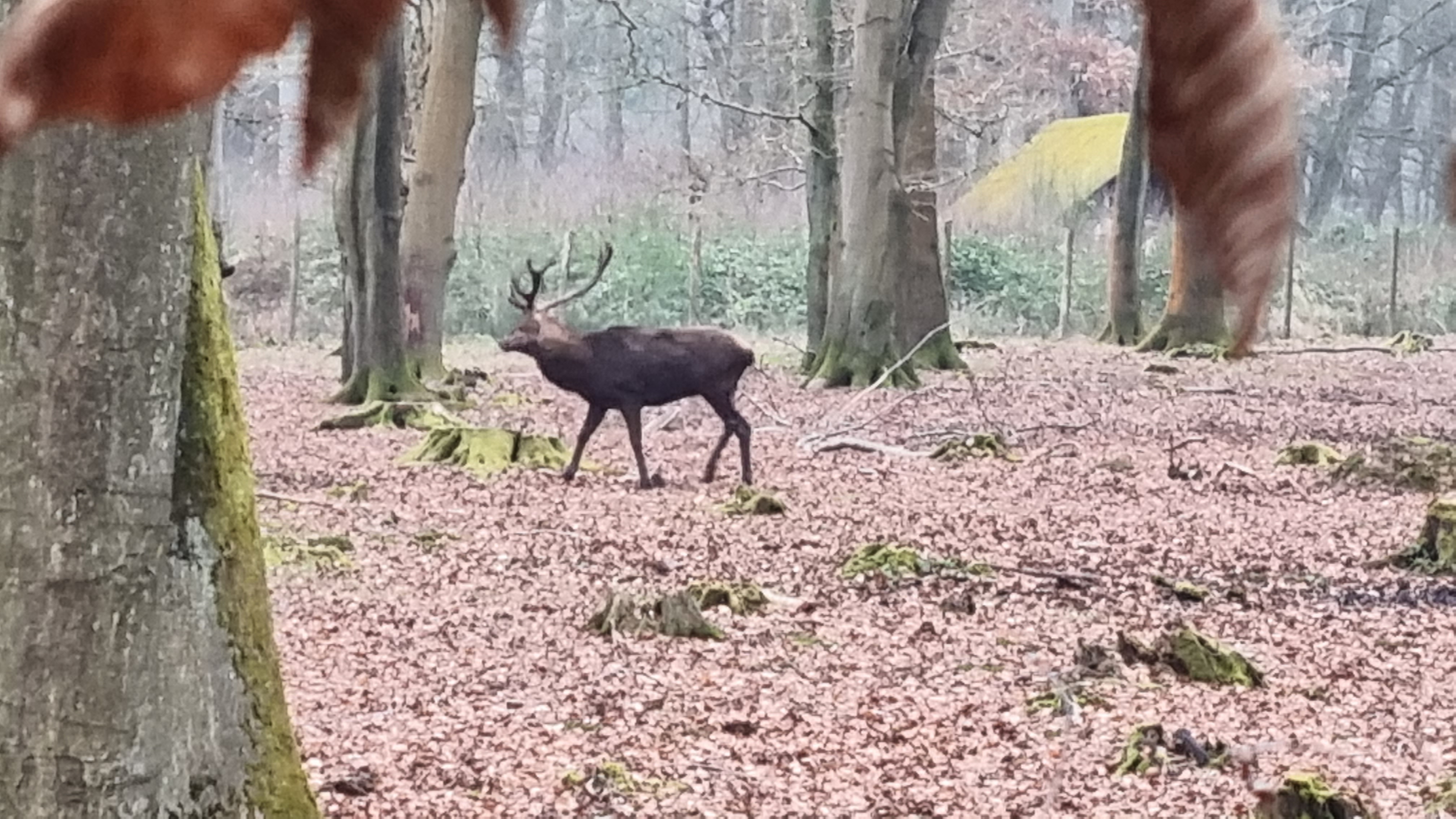 Photo n° 2 de l'avis de Boulart.n fait le 09/02/2022 à 16:21