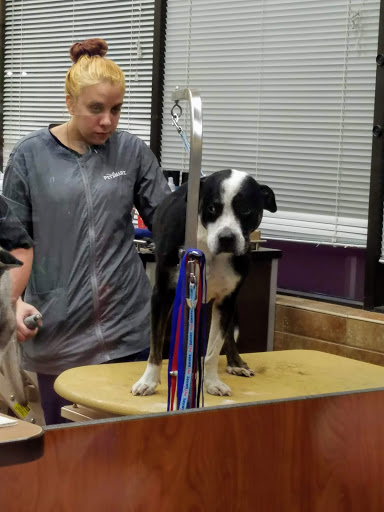 Pet Supply Store «PetSmart», reviews and photos, 1900 W International Speedway Blvd, Daytona Beach, FL 32114, USA