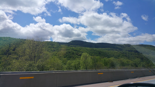Monument «Reverence (Whales Tails)», reviews and photos, I-89, South Burlington, VT 05403, USA