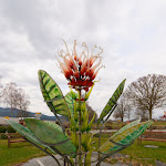 Photo n°7 de l'avis de Ernst.l fait le 17/08/2019 à 09:40 sur le  Weinfurtner - DAS GLASDORF in Arnbruck im Bayerischen Wald à Arnbruck
