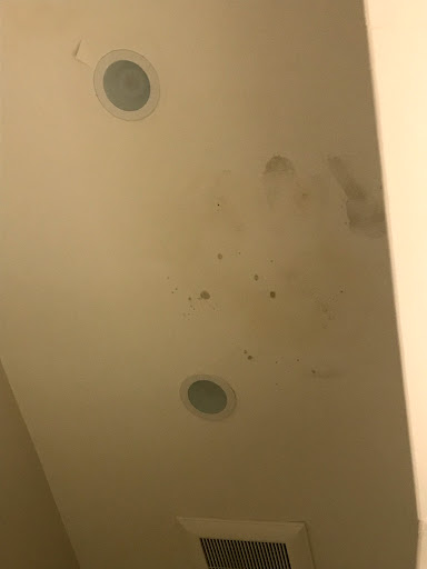 Paint Store «Sherwin-Williams Paint Store», reviews and photos, 2423 Williams Dr #121, Georgetown, TX 78628, USA