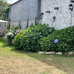 Photo n°3 de l'avis de Daniel.� fait le 07/08/2021 à 10:54 sur le  Vineria Bric A Brac à Peveragno