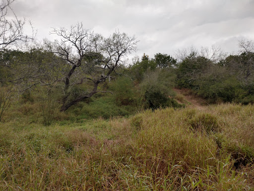 Park «Harlingen Thicket», reviews and photos, 311 E Tyler Ave, Harlingen, TX 78550, USA