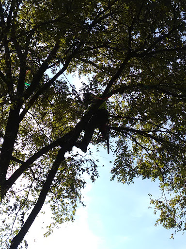 Park «Arsenal Park», reviews and photos, 1400 E 46th St, Indianapolis, IN 46205, USA