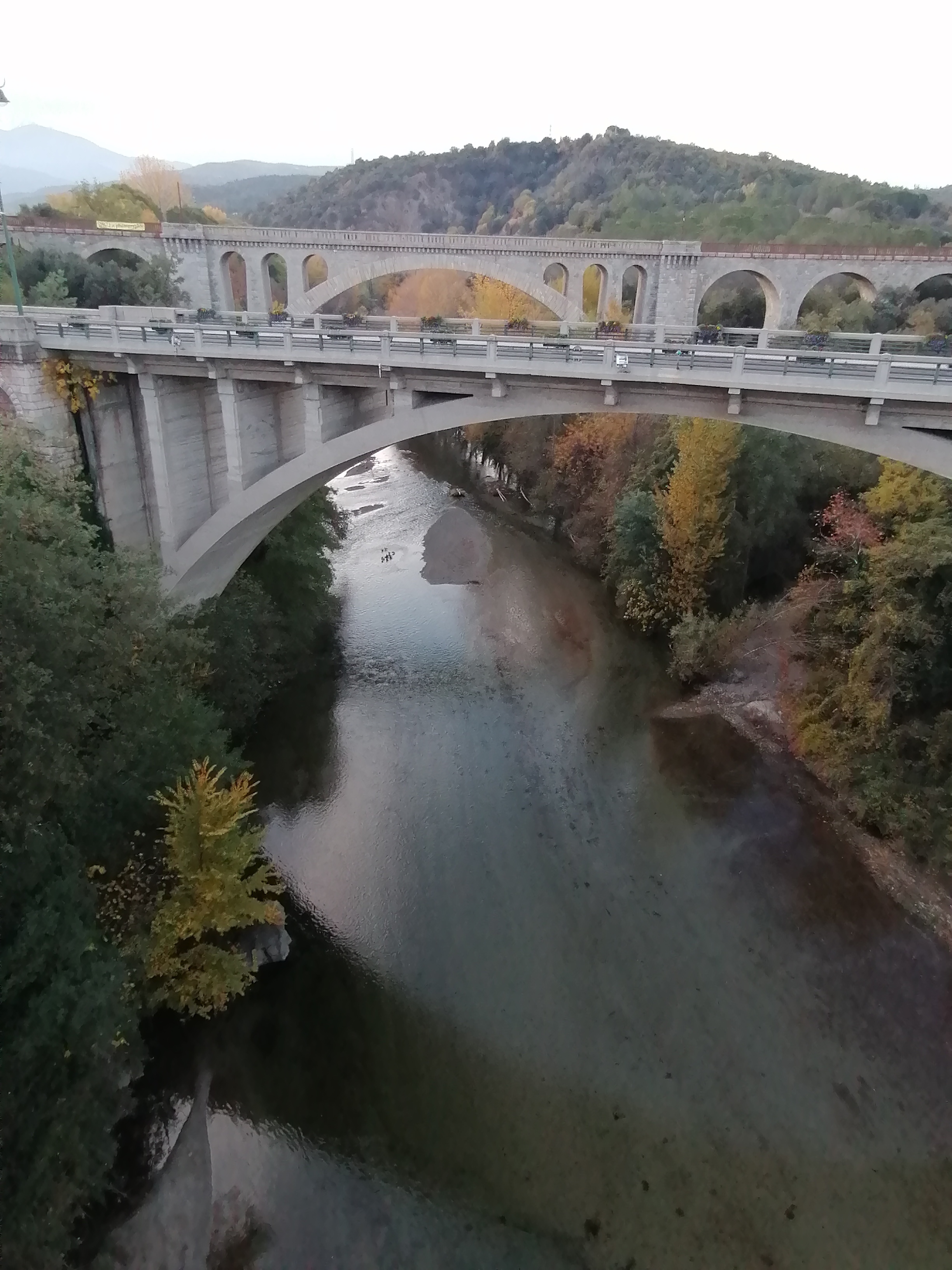 Photo n° 5 de l'avis de cousin.e fait le 27/11/2019 à 09:28