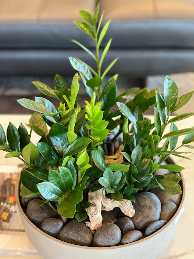 Furniture Store «Euro Living Modern Furniture store Dallas Texas», reviews and photos, 4200 Harry Hines Blvd, Dallas, TX 75219, USA