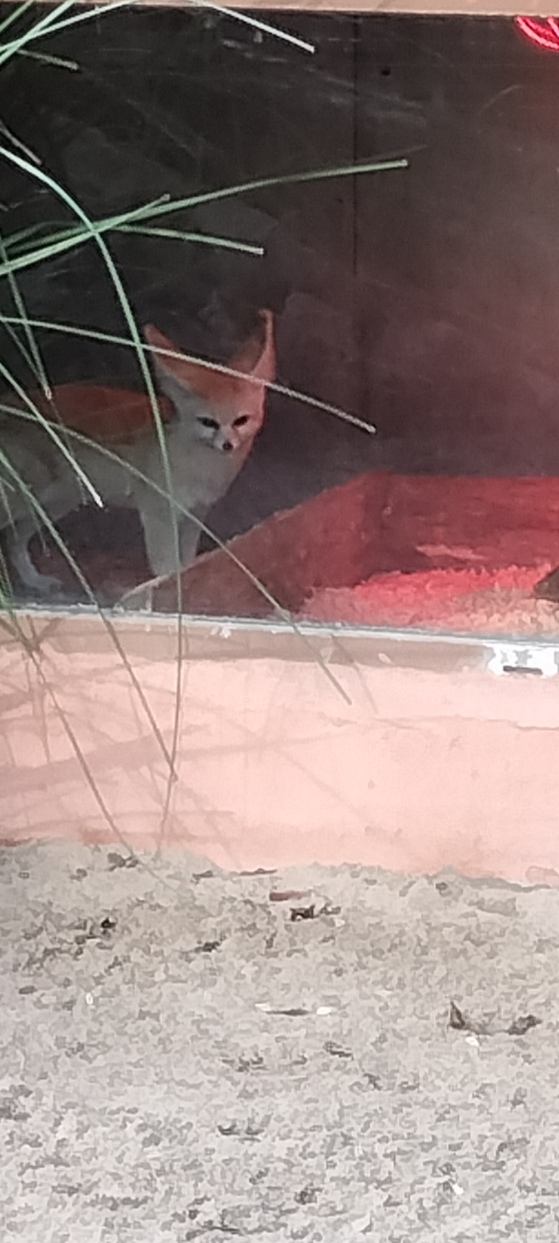 Photo n° 6 de l'avis de Sylvie.U fait le 07/11/2022 à 08:33