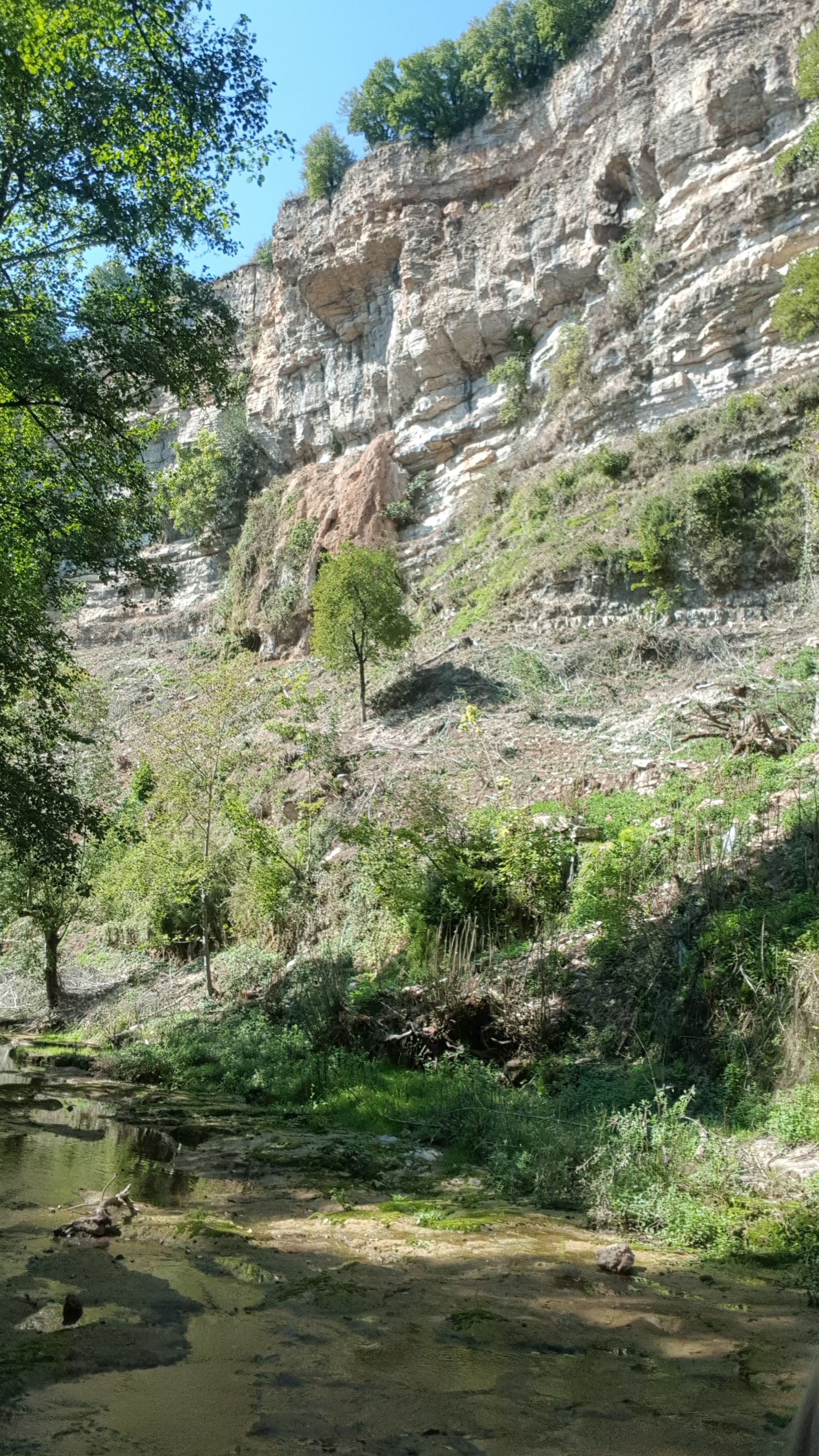 Photo n° 4 de l'avis de Edith.e fait le 18/09/2020 à 16:48