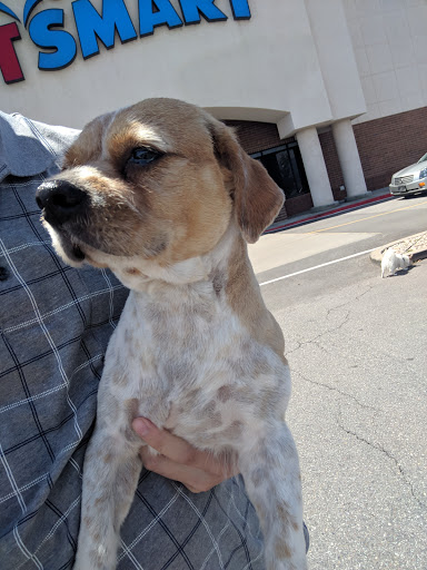 Pet Supply Store «PetSmart», reviews and photos, 1145 W Riverdale Rd, Riverdale, UT 84405, USA