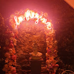 Photo n°1 de l'avis de Marine.I fait le 25/09/2021 à 19:52 sur le  La Regina di Manarola à Manarola