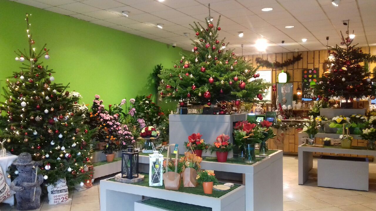 Photo n° 3 de l'avis de Bruno.h fait le 12/12/2018 à 12:06