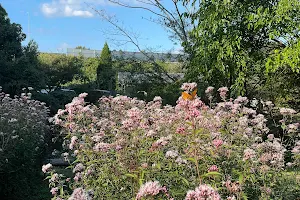 Kameyama Satoyama Park image