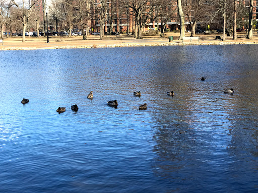 Park «Monte Irvin Orange Park», reviews and photos, S Harrison St, City of Orange, NJ 07050, USA