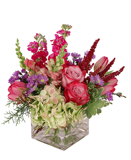 Florist «EC Florist & Gifts», reviews and photos, 224 Washington St, Brookline, MA 02445, USA