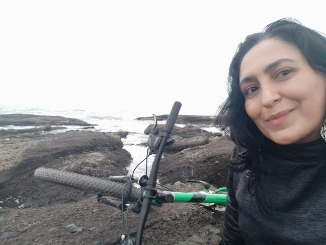 Opinii despre Arriendo Bicicletas în Antofagasta - Tienda de bicicletas