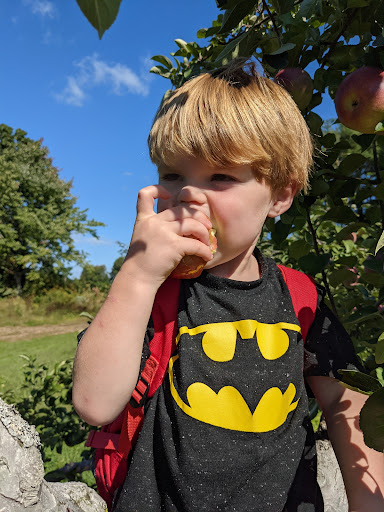 Winery «Echo Hill Orchards & Winery», reviews and photos, 101 Wilbraham Rd, Monson, MA 01057, USA